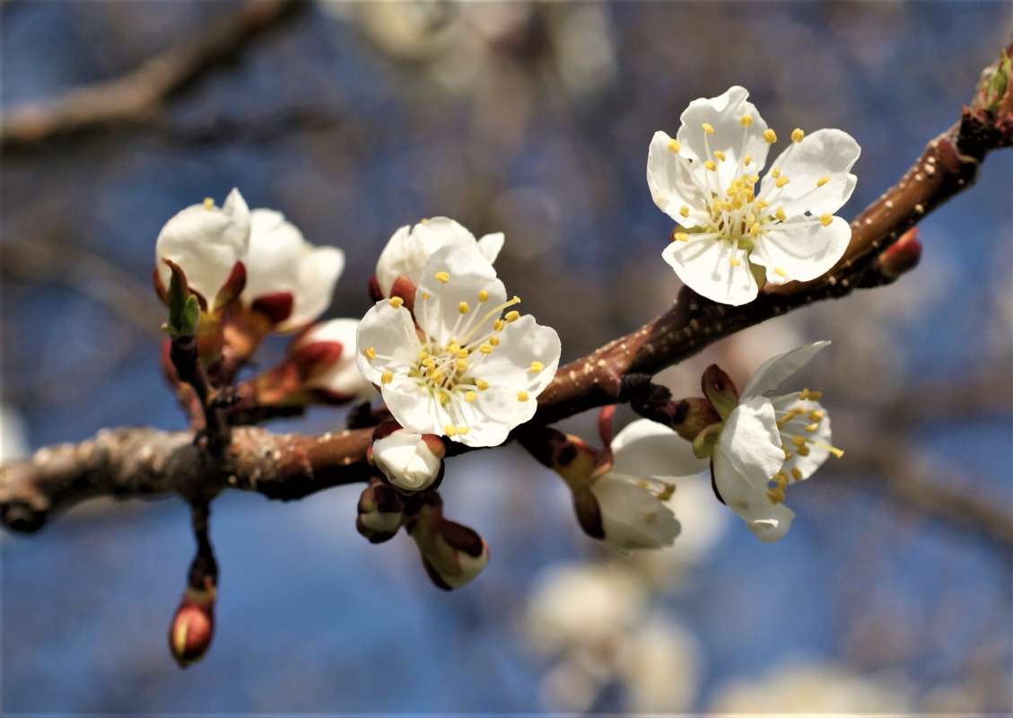 ... ����� ������� �������� �� PhotoGeek.ru #������ ��� �������