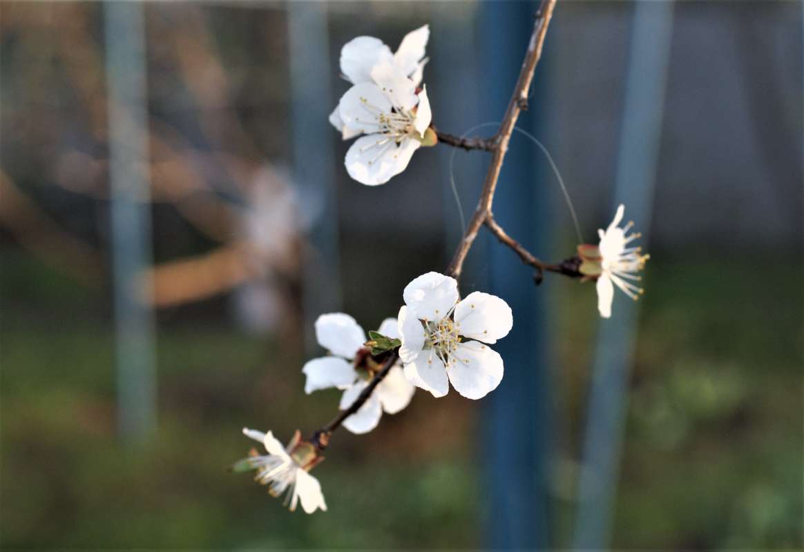 ... ����� ������� �������� �� PhotoGeek.ru #������ ��� �������