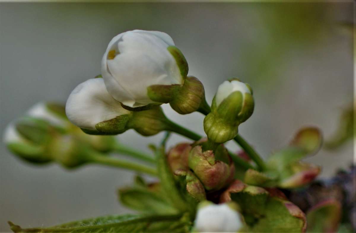 ... ����� ������� �������� �� PhotoGeek.ru #������ ��� �������