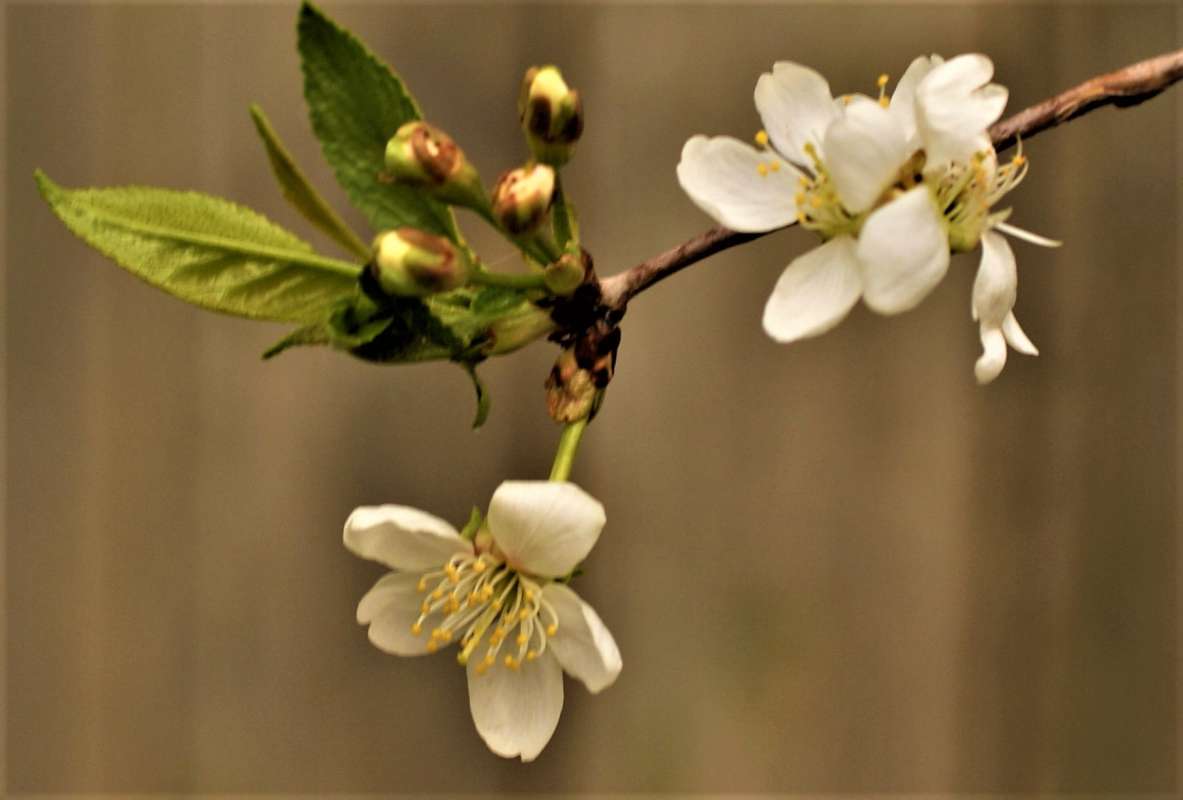 ... ����� ������� �������� �� PhotoGeek.ru #������ ��� �������