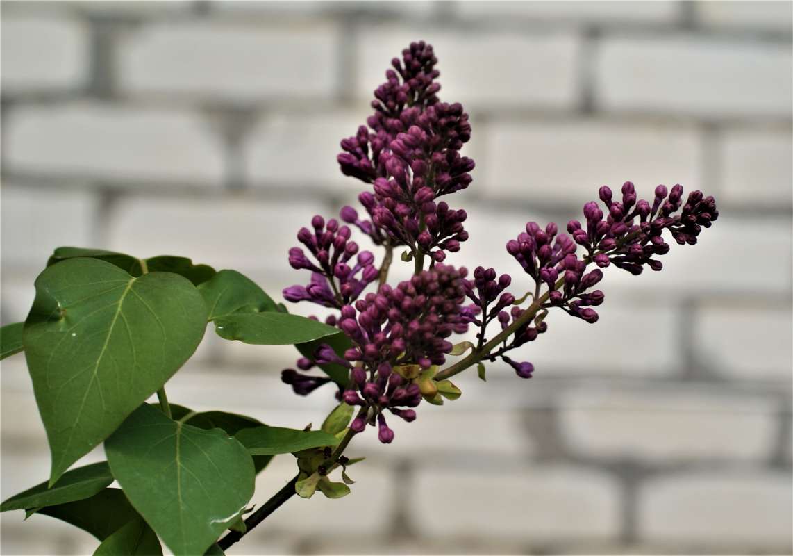 ... ����� ������� �������� �� PhotoGeek.ru #������ ��� �������