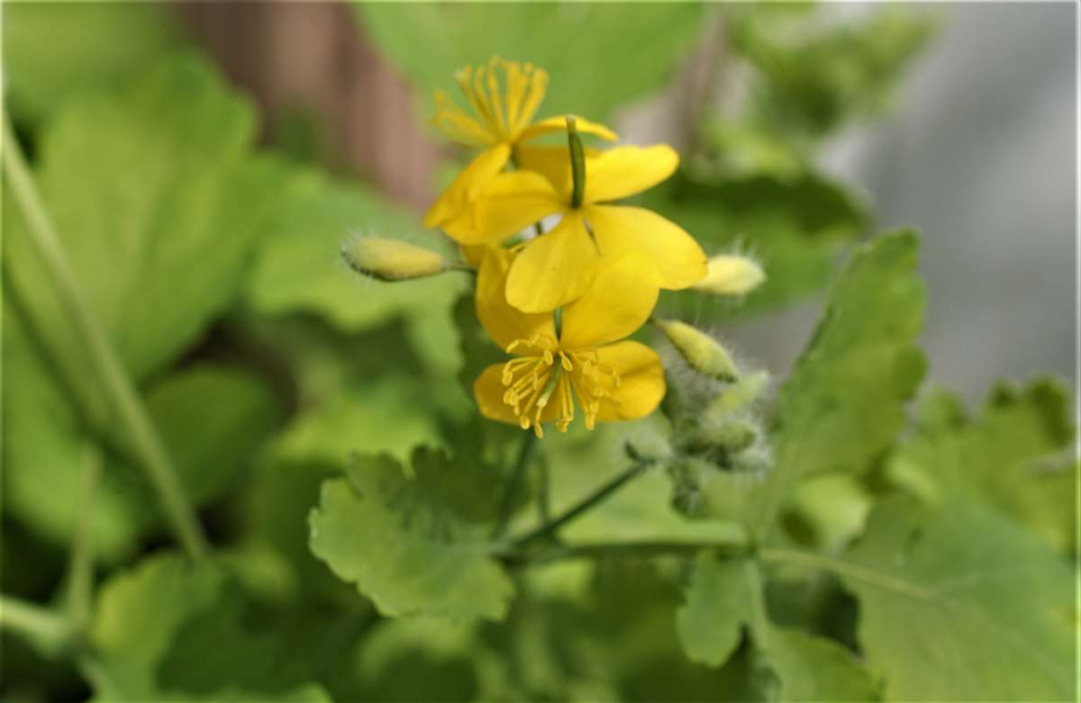 ... ����� ������� �������� �� PhotoGeek.ru #������ ��� �������