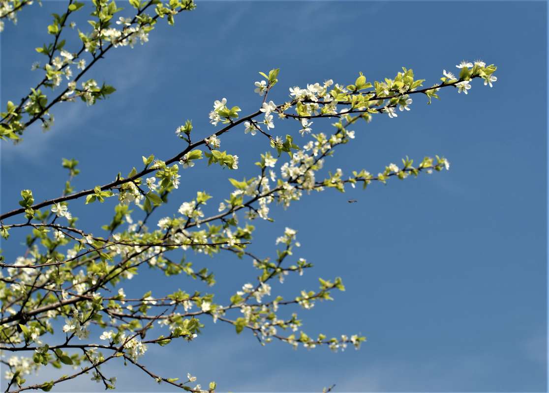 ���������� �������� ����� ������� �������� �� PhotoGeek.ru #������ ��� �������