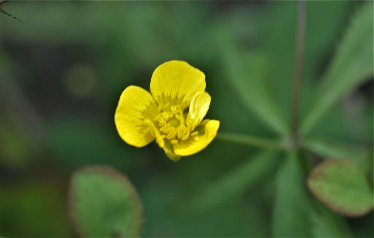 ... ����� ������� �������� �� PhotoGeek.ru #������ ��� �������