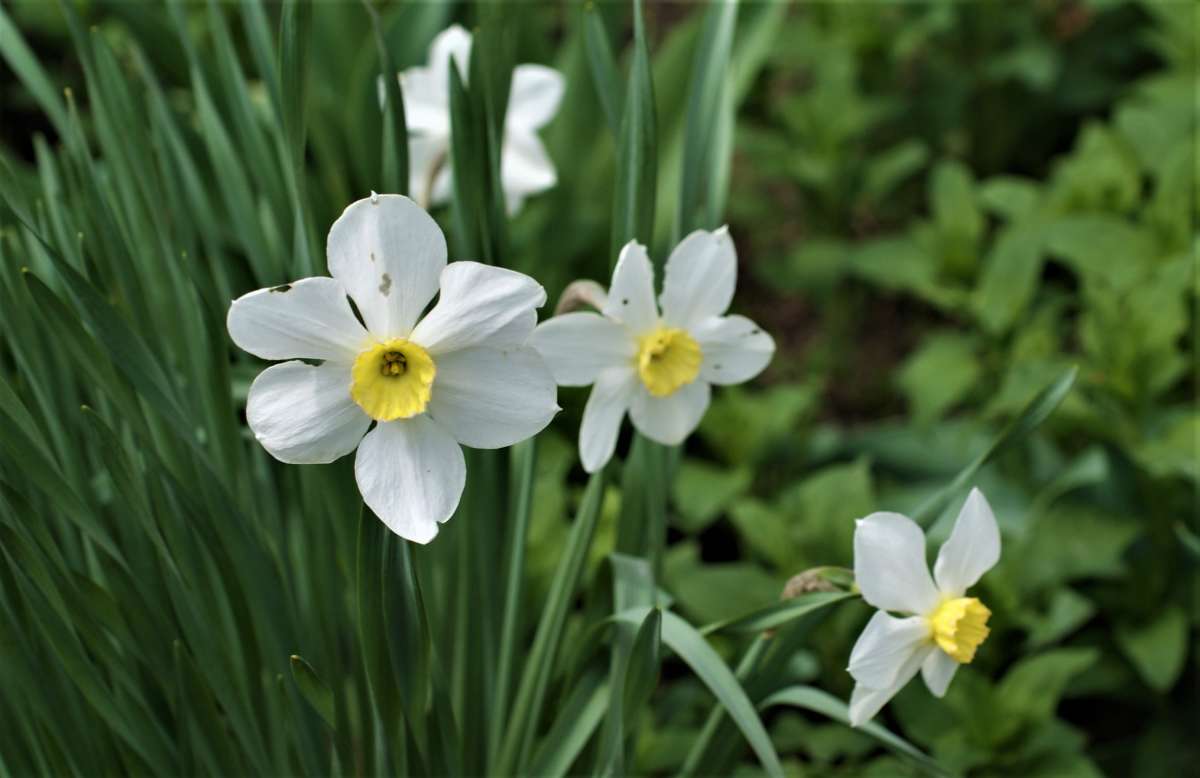 ... ����� ������� �������� �� PhotoGeek.ru #������ ��� �������