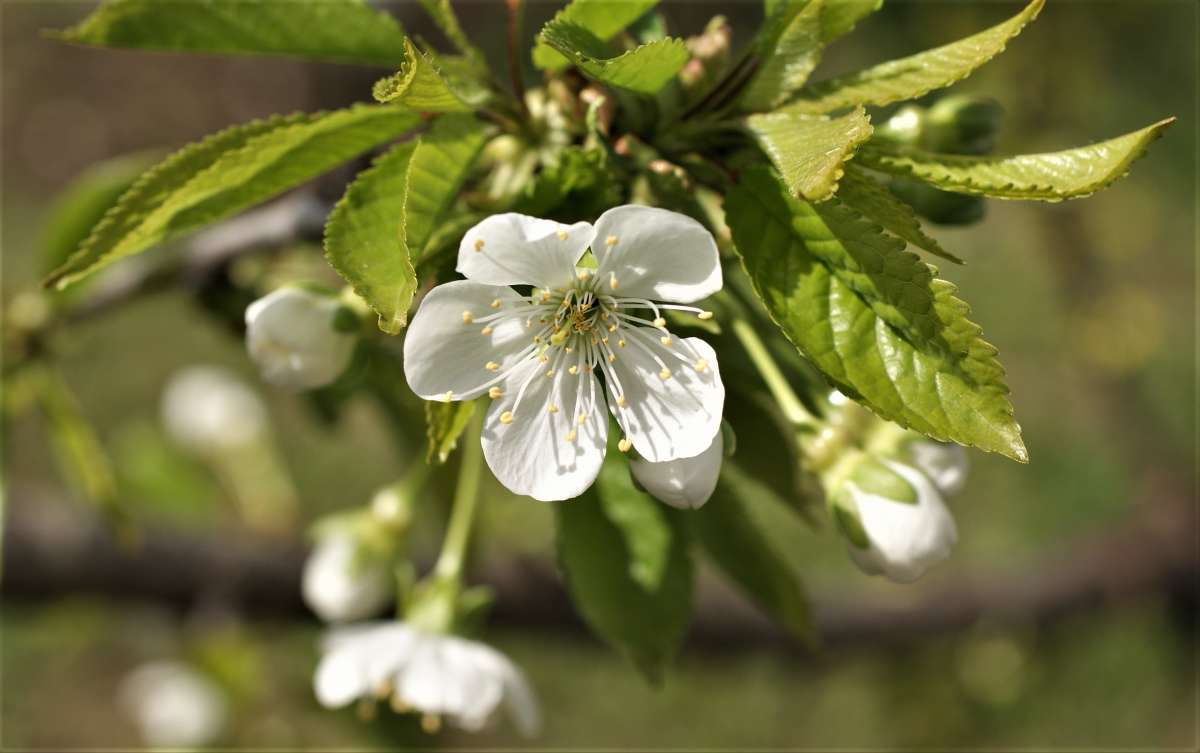 ... ����� ������� �������� �� PhotoGeek.ru #������ ��� �������