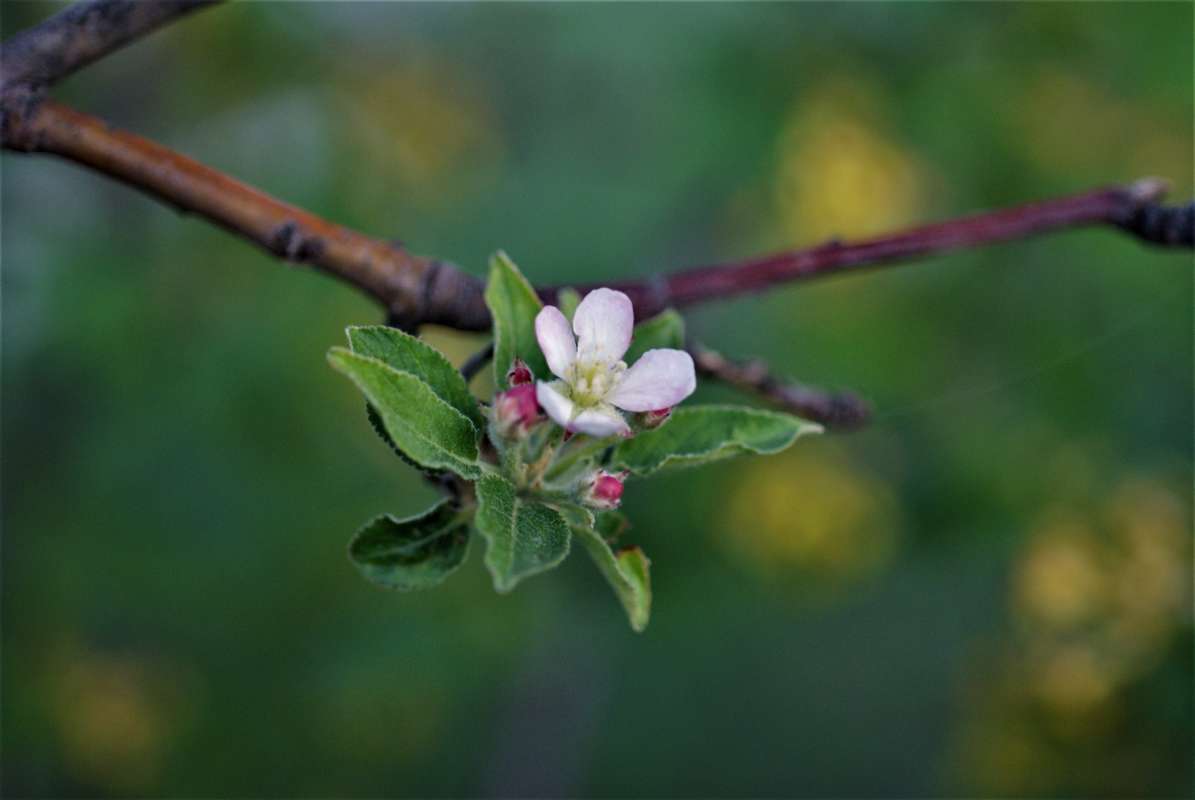 ... ����� ������� �������� �� PhotoGeek.ru #������ ��� �������