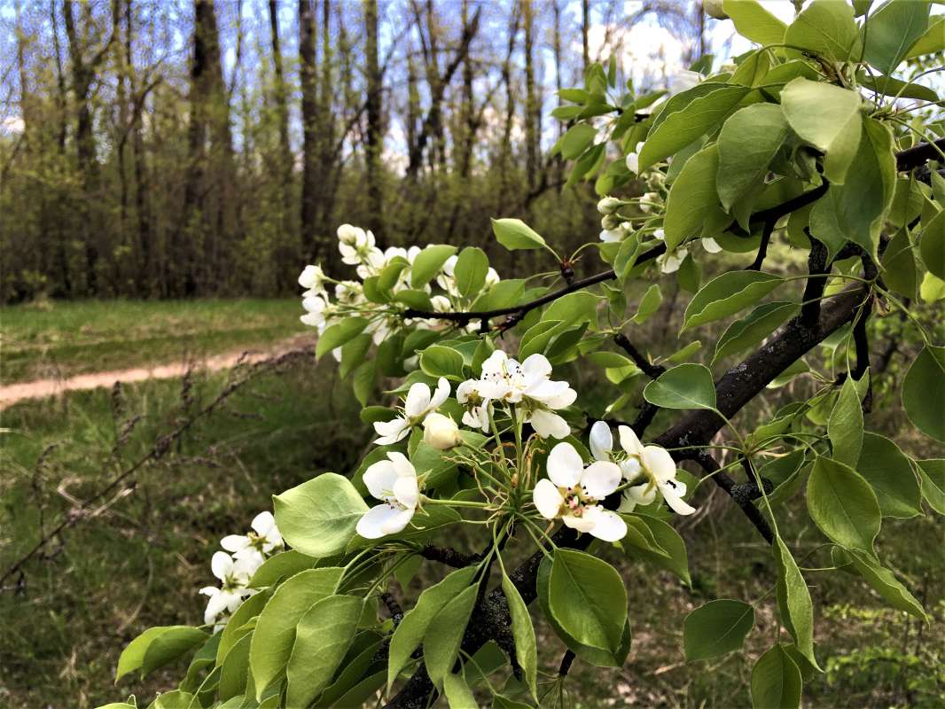 ... ����� ������� �������� �� PhotoGeek.ru #������ ��� �������