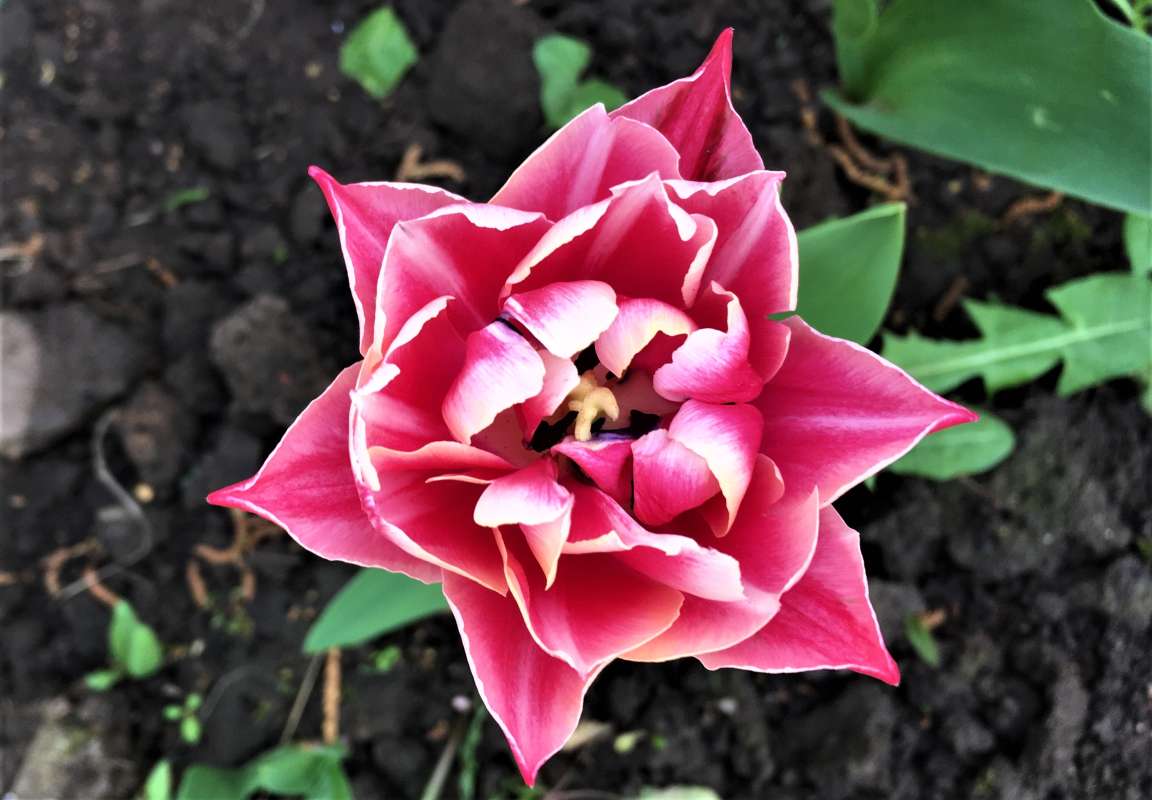 ... ����� ������� �������� �� PhotoGeek.ru #������ ��� �������