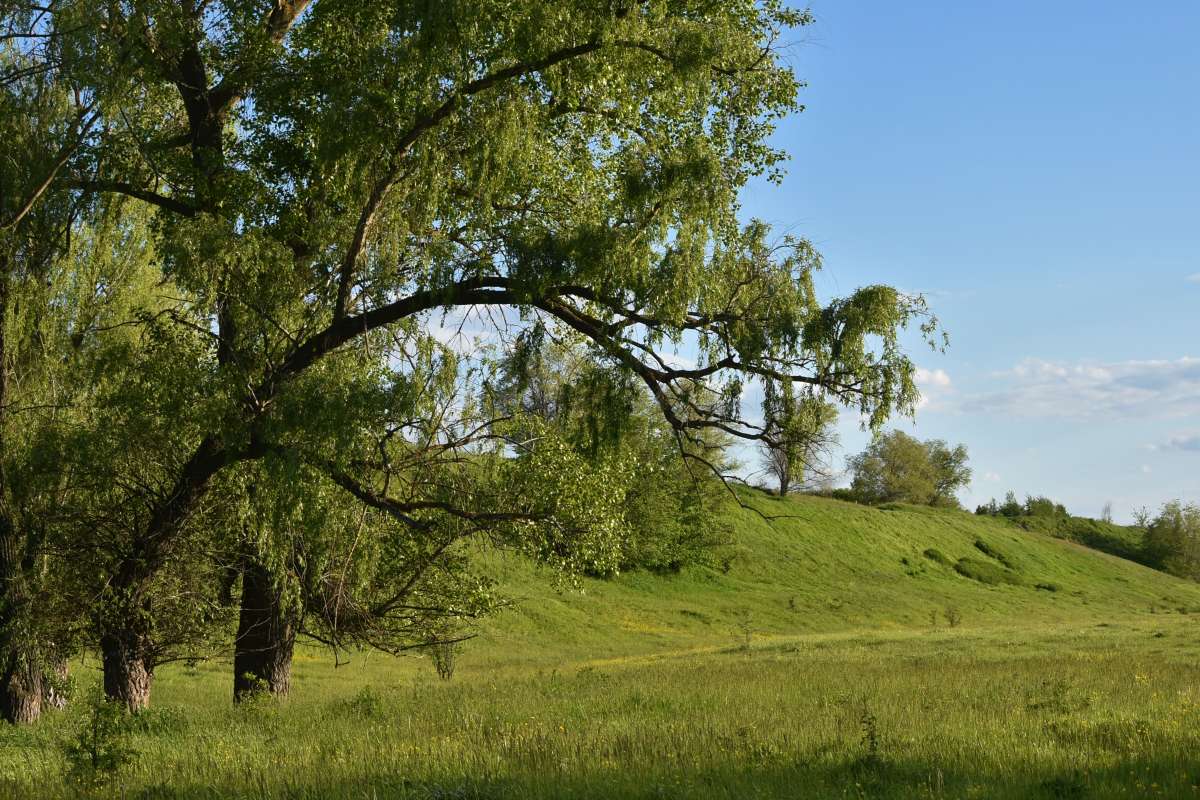 ... ����� ������� �������� �� PhotoGeek.ru #������ ��� �������