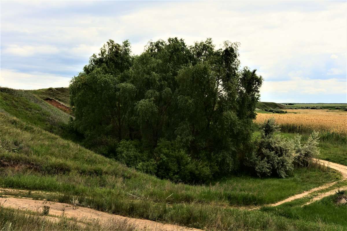 ... ����� ������� �������� �� PhotoGeek.ru #������ ��� �������