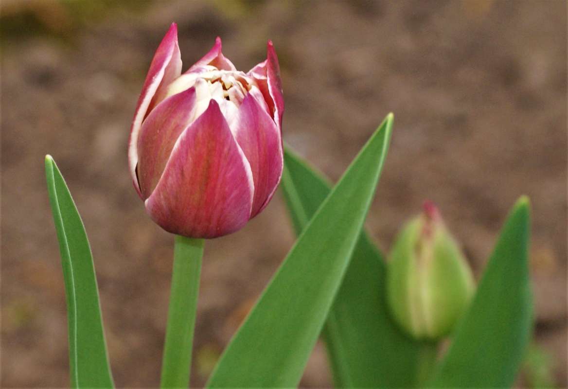 ... ����� ������� �������� �� PhotoGeek.ru #������ ��� �������