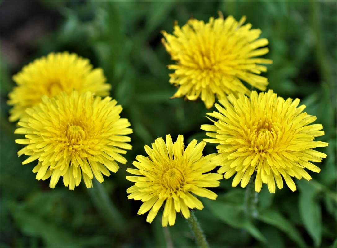 ... ����� ������� �������� �� PhotoGeek.ru #������ ��� �������