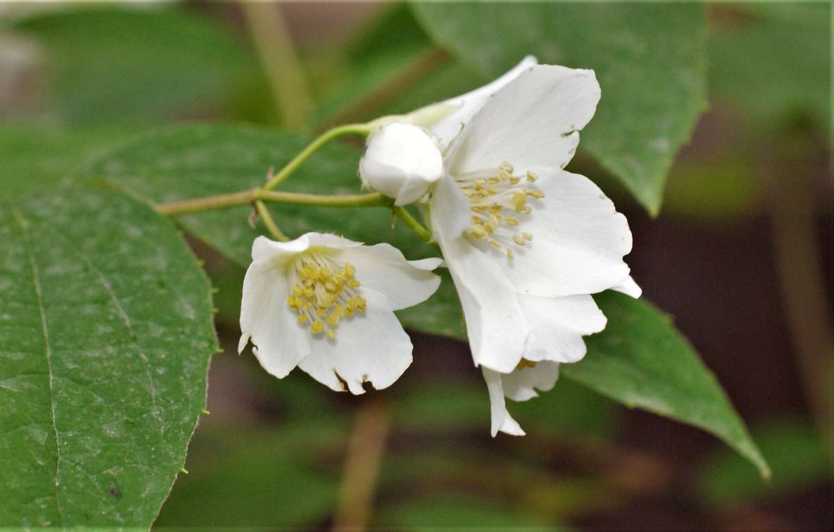 ... ����� ������� �������� �� PhotoGeek.ru #������ ��� �������