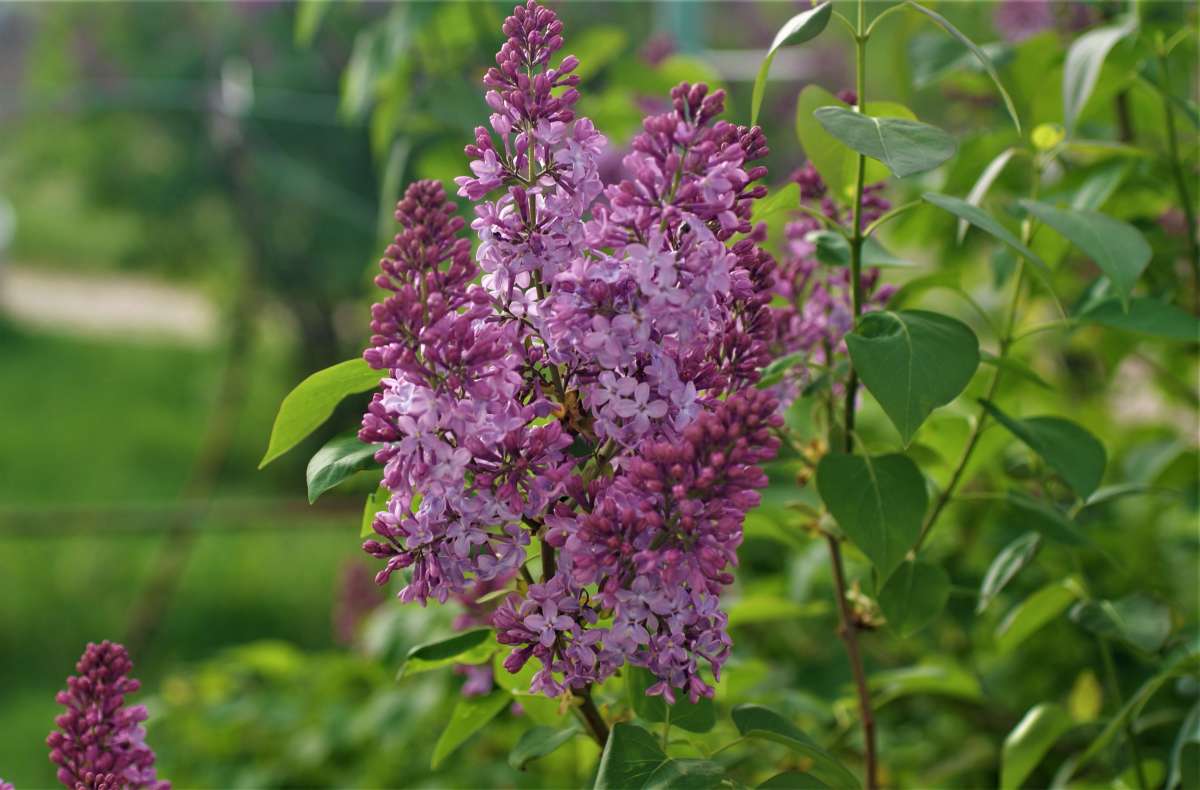 ... ����� ������� �������� �� PhotoGeek.ru #������ ��� �������