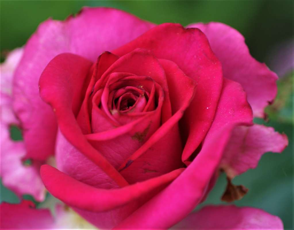 ... ����� ������� �������� �� PhotoGeek.ru #������ ��� �������