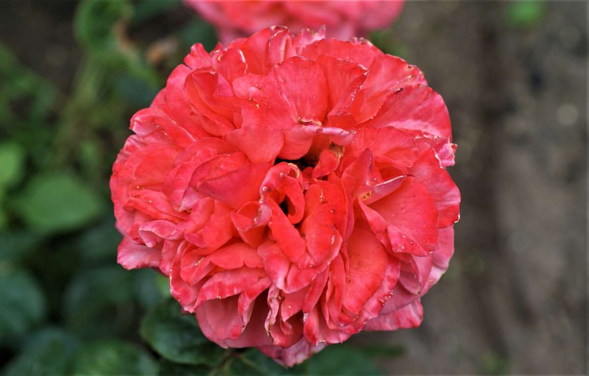 ... ����� ������� �������� �� PhotoGeek.ru #������ ��� �������