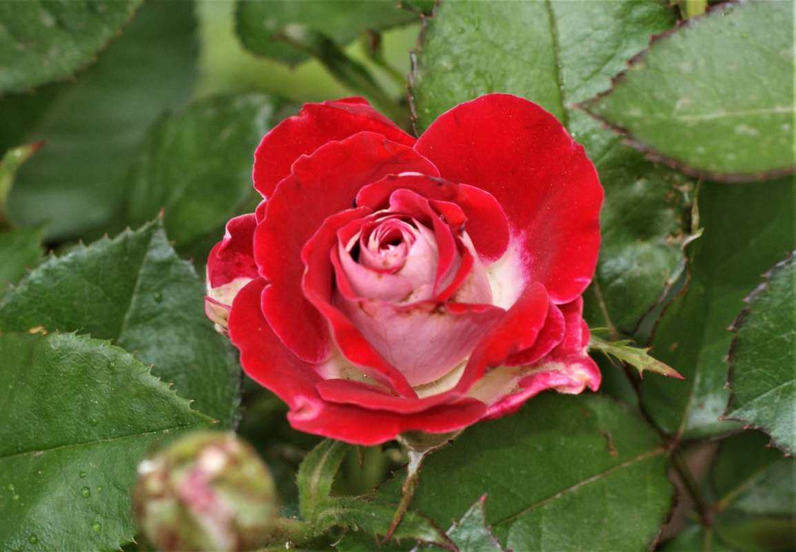 ... ����� ������� �������� �� PhotoGeek.ru #������ ��� �������