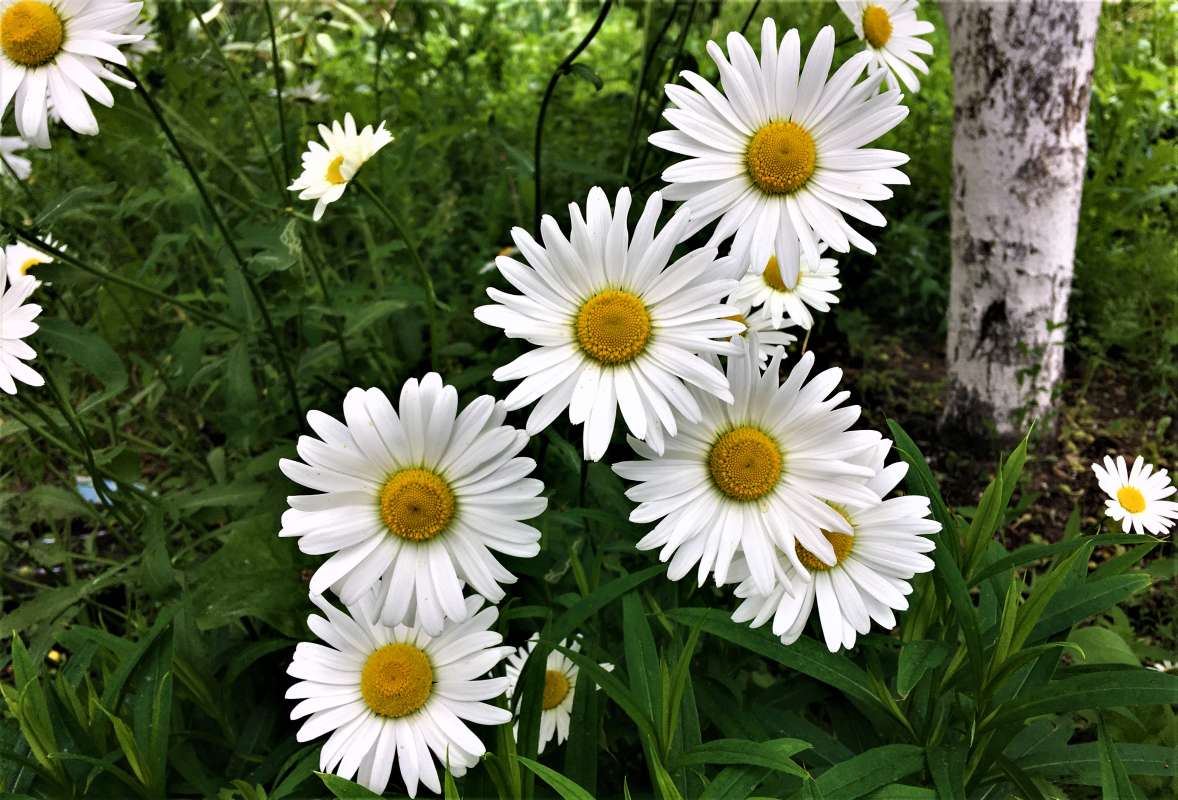 ������� ����� ������� �������� �� PhotoGeek.ru #������ ��� �������