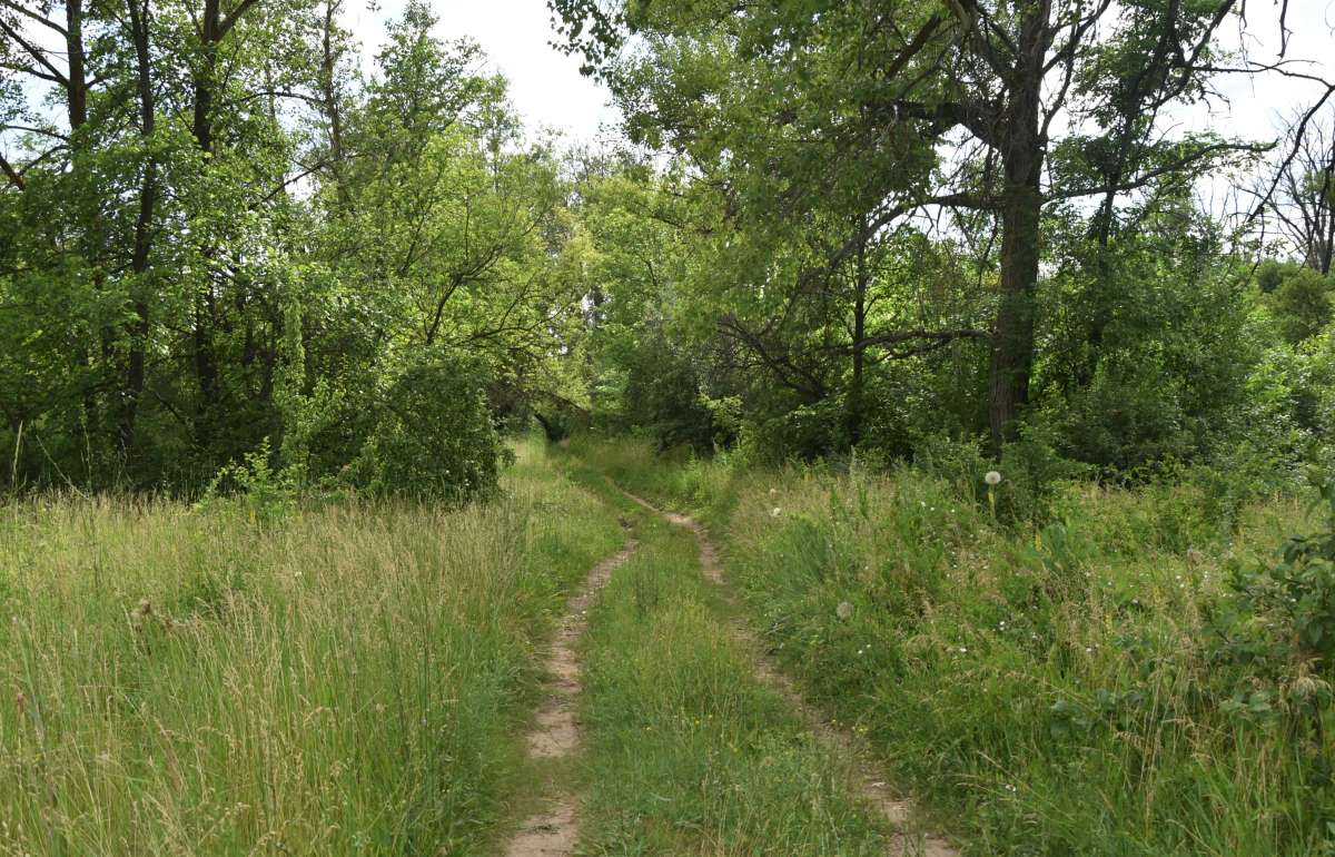 �� ������ �������� ����� ������� �������� �� PhotoGeek.ru #������ ��� �������