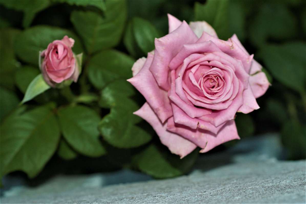 ... ����� ������� �������� �� PhotoGeek.ru #������ ��� �������