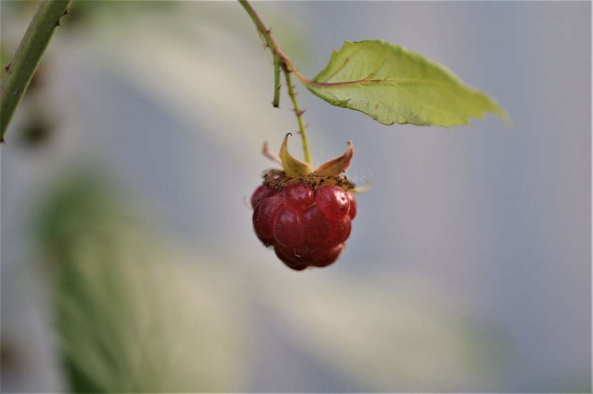 ... ����� ������� �������� �� PhotoGeek.ru #������ ��� �������