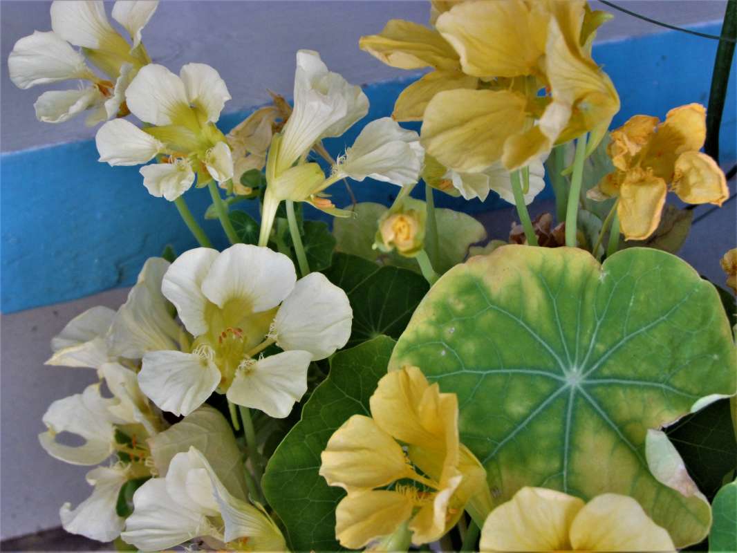 ... ����� ������� �������� �� PhotoGeek.ru #������ ��� �������