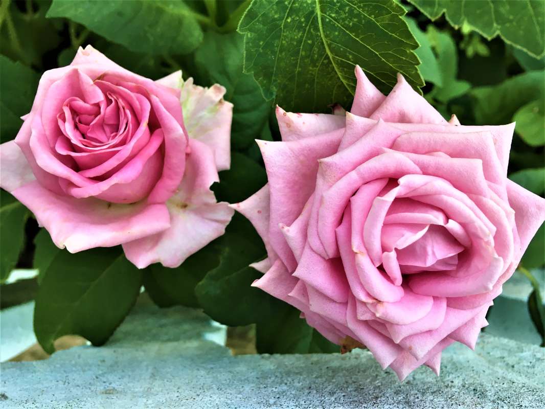 ... ����� ������� �������� �� PhotoGeek.ru #������ ��� �������