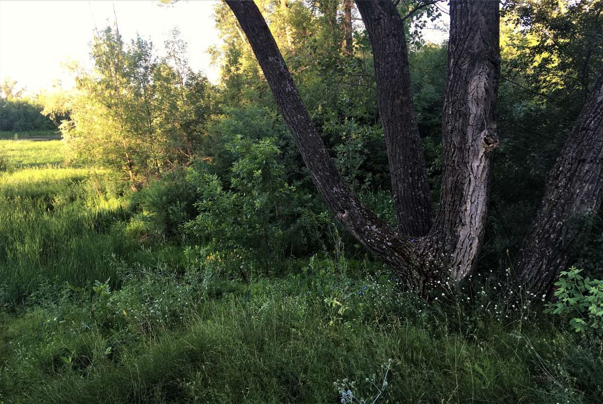 ... ����� ������� �������� �� PhotoGeek.ru #������ ��� �������