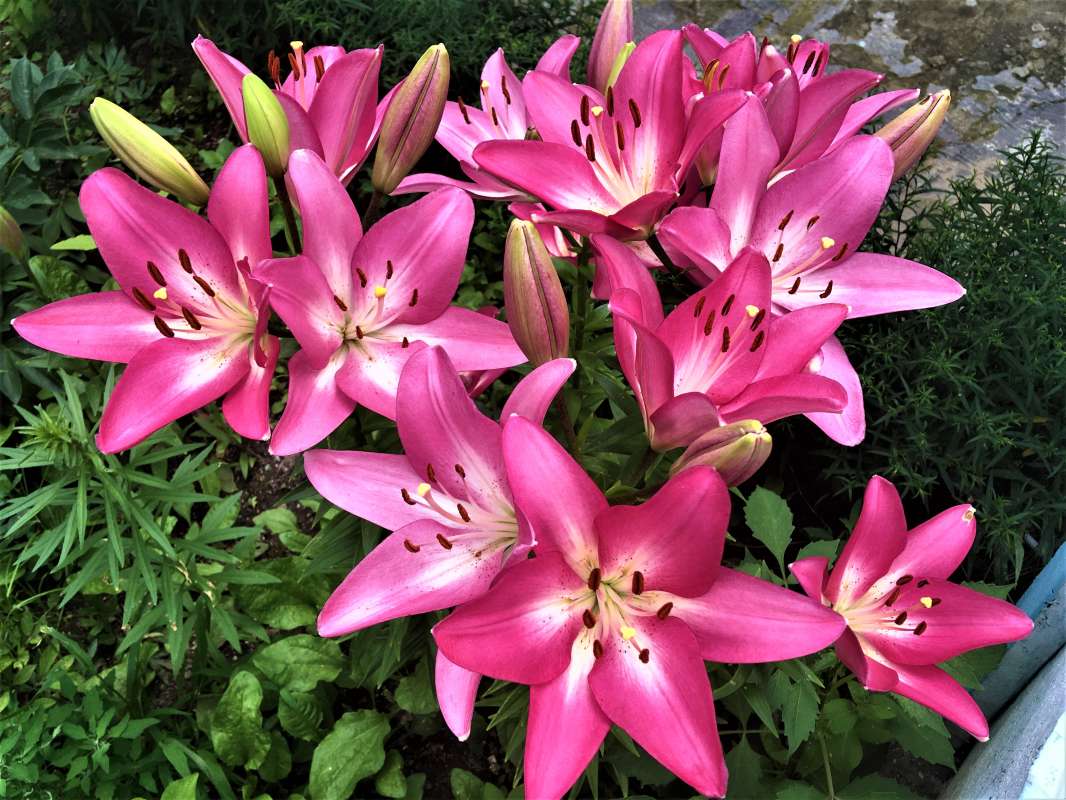 ... ����� ������� �������� �� PhotoGeek.ru #������ ��� �������