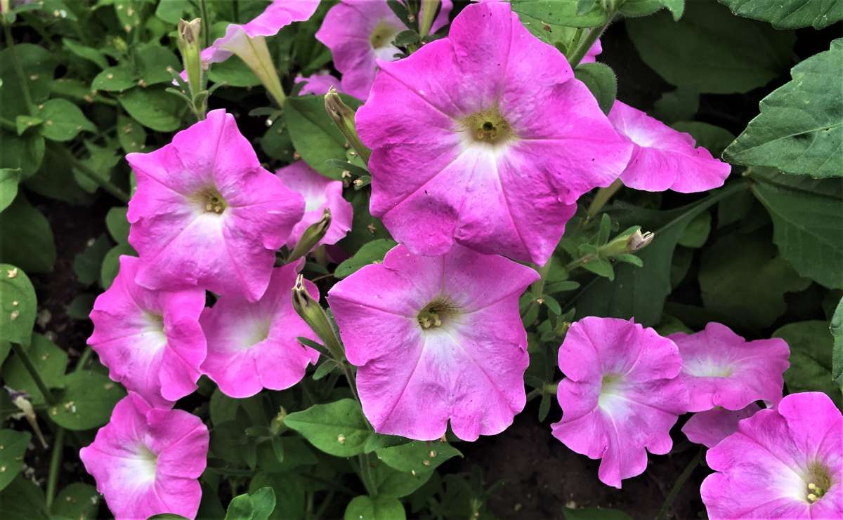 ... ����� ������� �������� �� PhotoGeek.ru #������ ��� �������