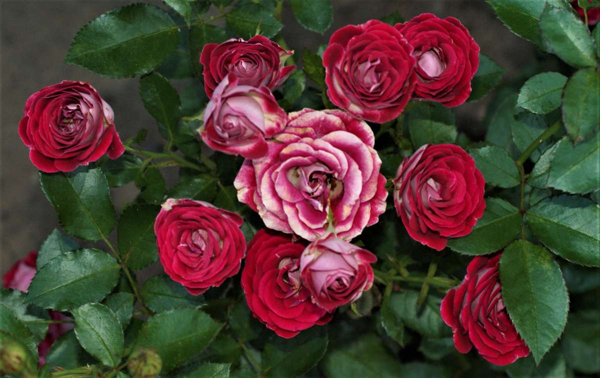 ... ����� ������� �������� �� PhotoGeek.ru #������ ��� �������