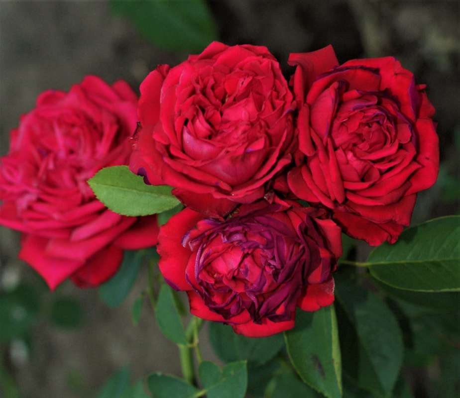 ... ����� ������� �������� �� PhotoGeek.ru #������ ��� �������