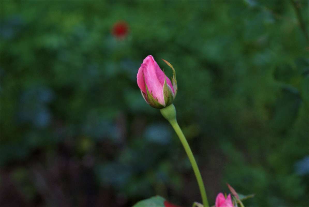 ... ����� ������� �������� �� PhotoGeek.ru #������ ��� �������