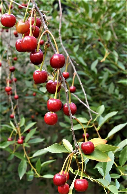 ����� ���� ����� ������� �������� �� PhotoGeek.ru #������ ��� �������