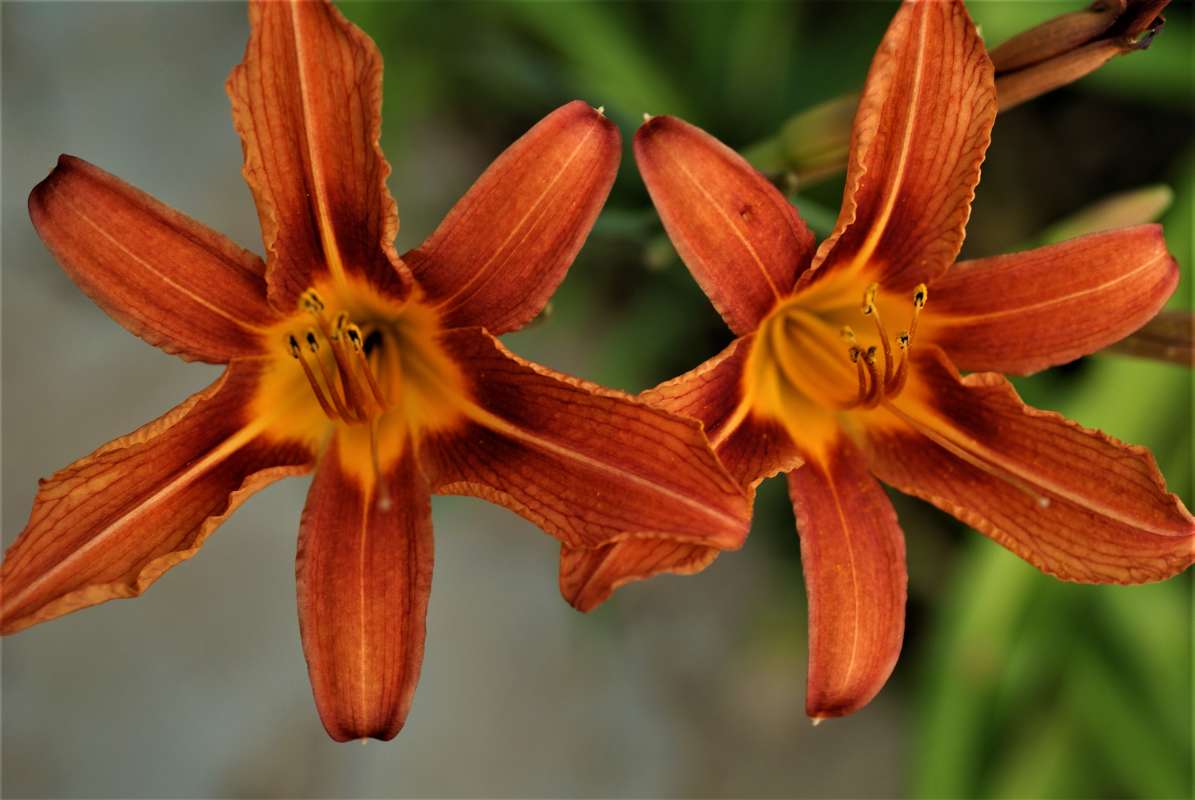 ... ����� ������� �������� �� PhotoGeek.ru #������ ��� �������