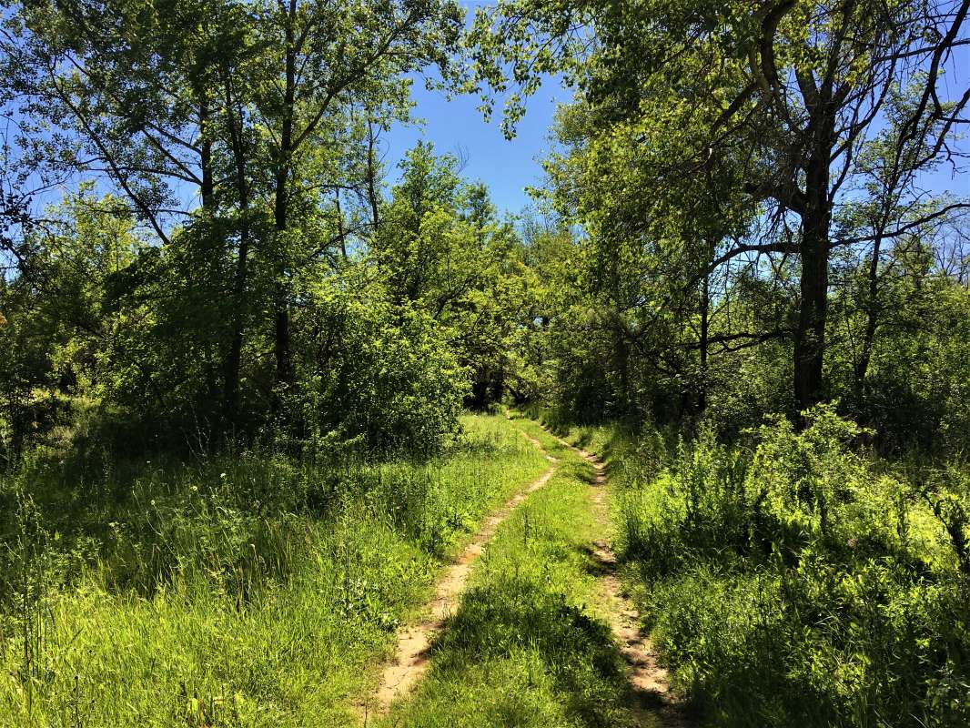 ������ �������� ����� ������� �������� �� PhotoGeek.ru #������ ��� �������