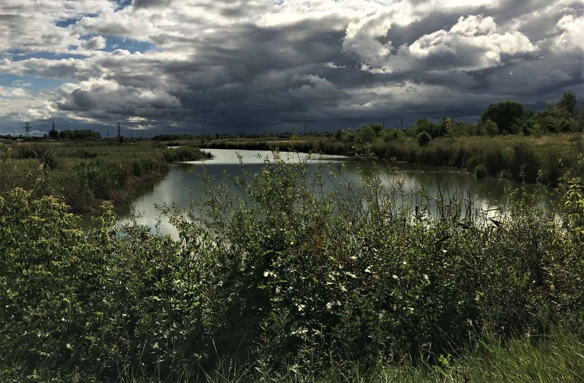 ... ����� ������� �������� �� PhotoGeek.ru #������ ��� �������