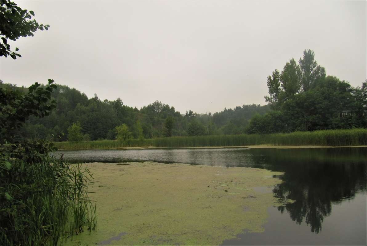 ... ����� ������� �������� �� PhotoGeek.ru #������ ��� �������