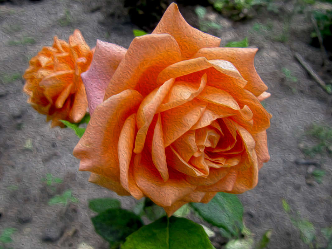 ... ����� ������� �������� �� PhotoGeek.ru #������ ��� �������