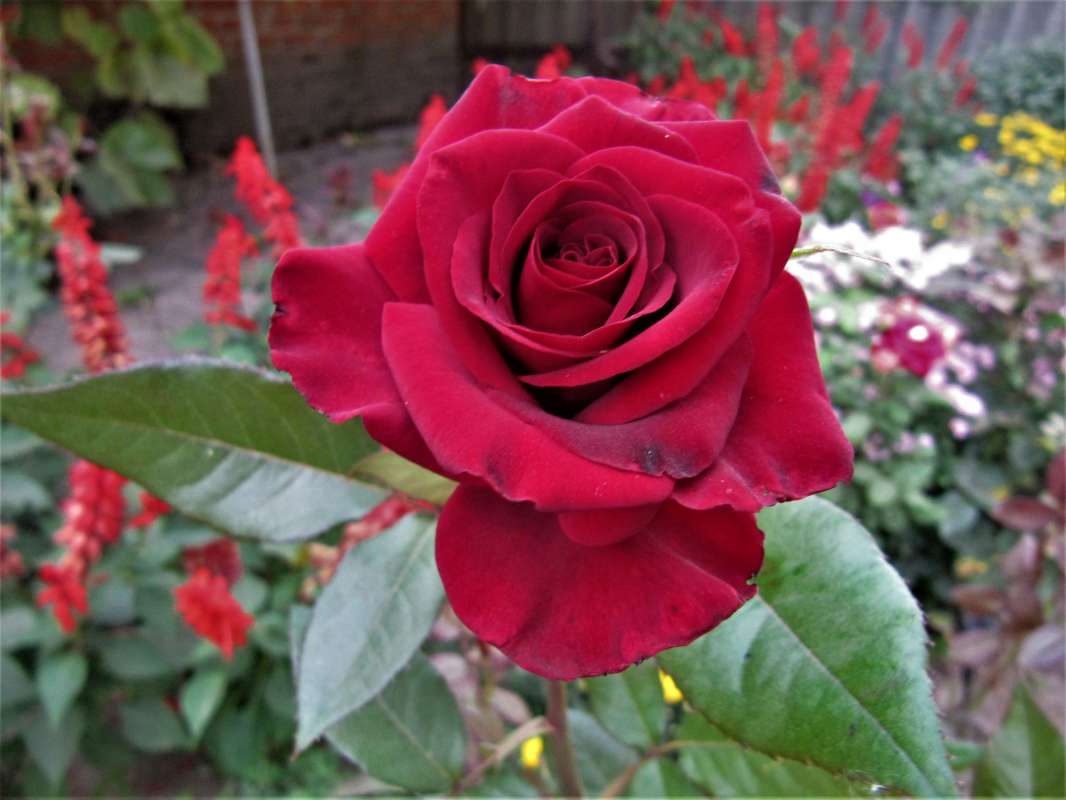 ... ����� ������� �������� �� PhotoGeek.ru #������ ��� �������