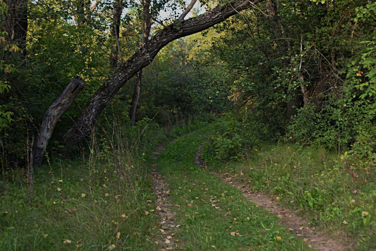 ������������... ����� ������� �������� �� PhotoGeek.ru #������ ��� �������