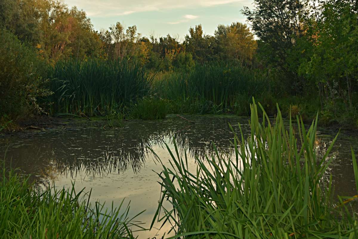 ��������� ���� ����� ������� �������� �� PhotoGeek.ru #������ ��� �������