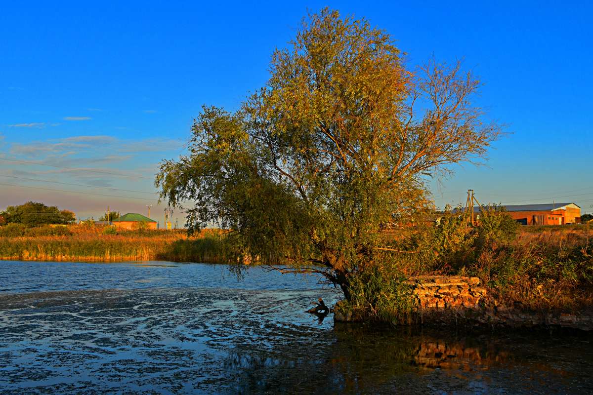 �����������... ����� ������� �������� �� PhotoGeek.ru #������ ��� �������