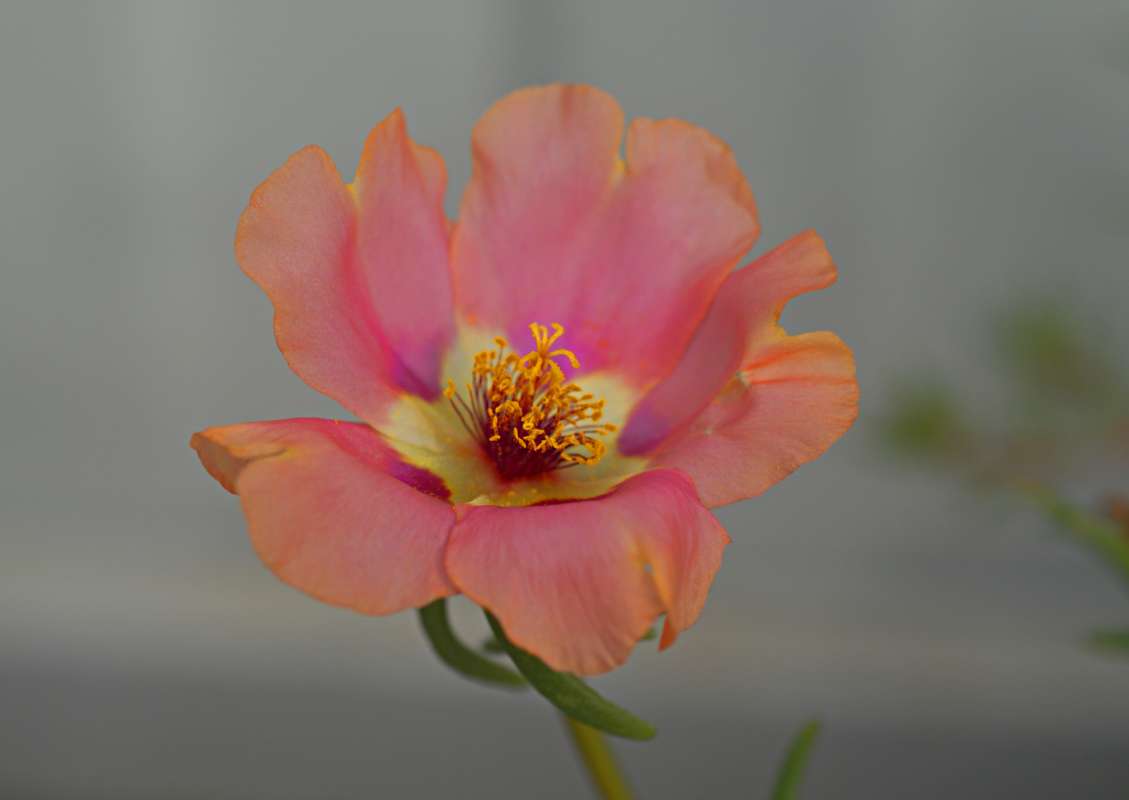 �������� ����� ������� �������� �� PhotoGeek.ru #������ ��� �������