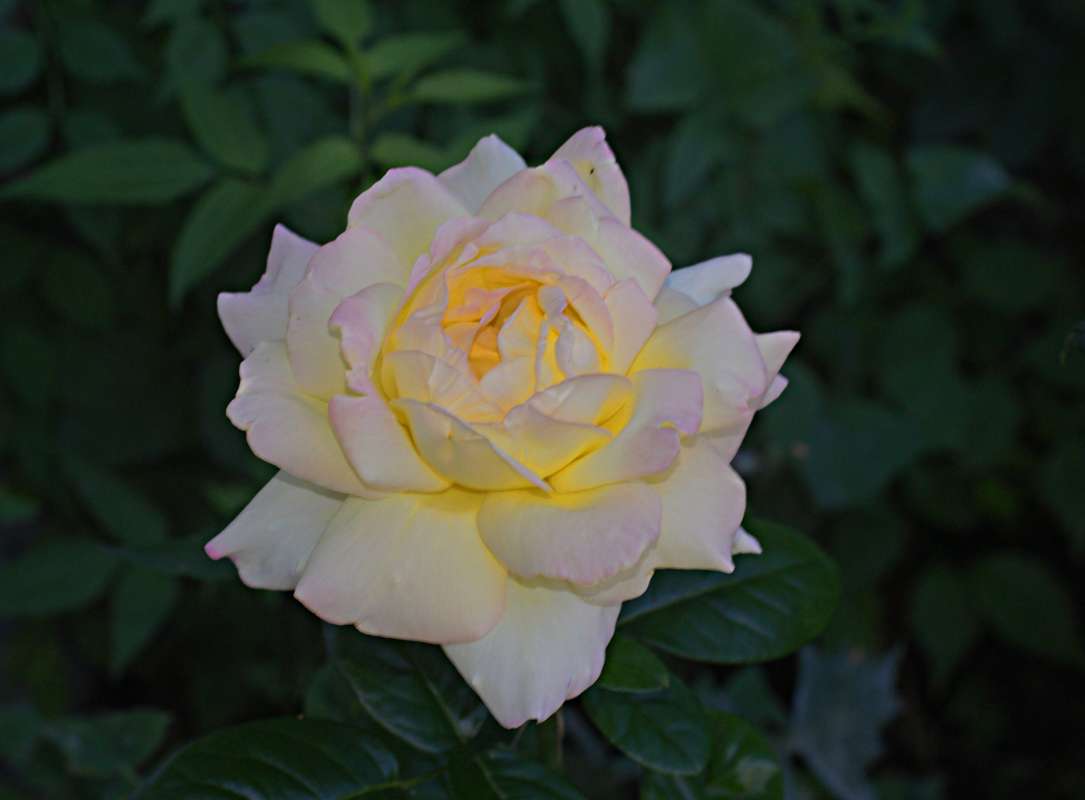 �������� ����� ������� �������� �� PhotoGeek.ru #������ ��� �������