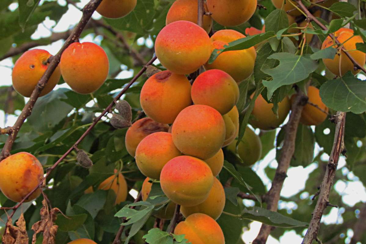 ���������� ����� ������� �������� �� PhotoGeek.ru #������ ��� �������