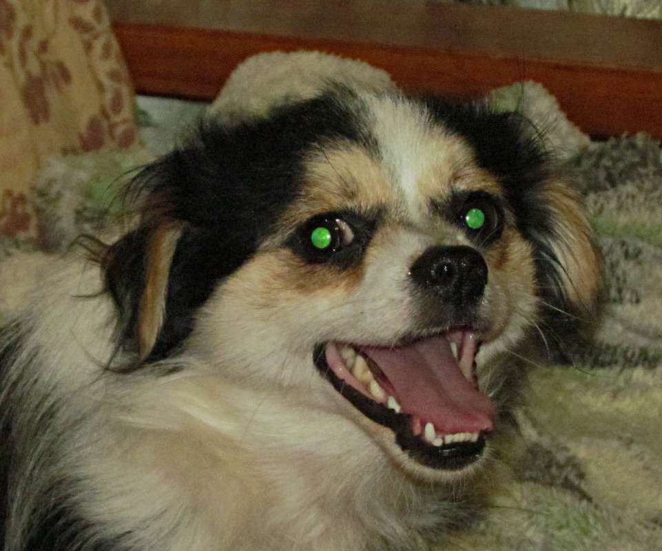 ������� ����� ������� �������� �� PhotoGeek.ru #�������� ���