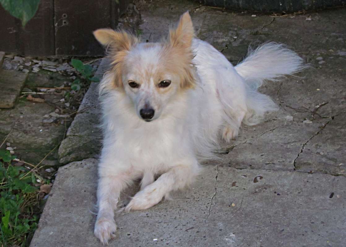 ����� ����� ������� �������� �� PhotoGeek.ru #�������� ���