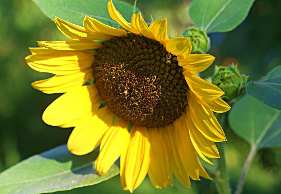 ����������� ����� ������� �������� �� PhotoGeek.ru #������ ��� �������